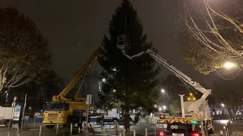 Le grand sapin de Reims est arrivé 